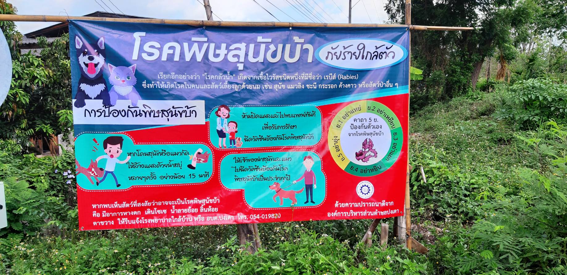ภาพประกอบ: กิจกรรมรณรงค์ประชาสัมพันธ์โรคติดต่อ