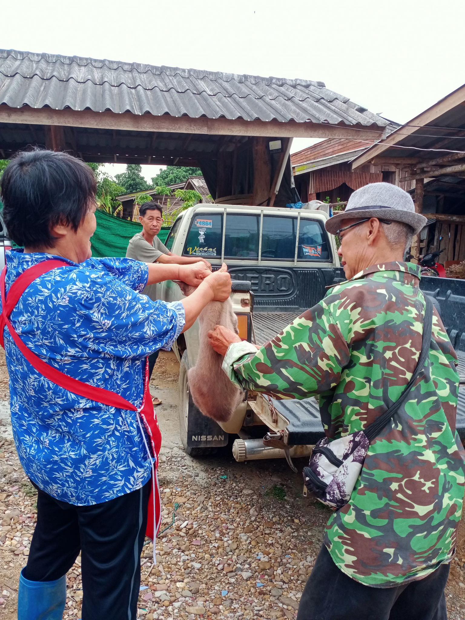 ภาพประกอบ: โครงการสัตว์ปลอดโรคคนปลอดภัยจากโรคพิษสุนัขบ้า ประจำปี 2567