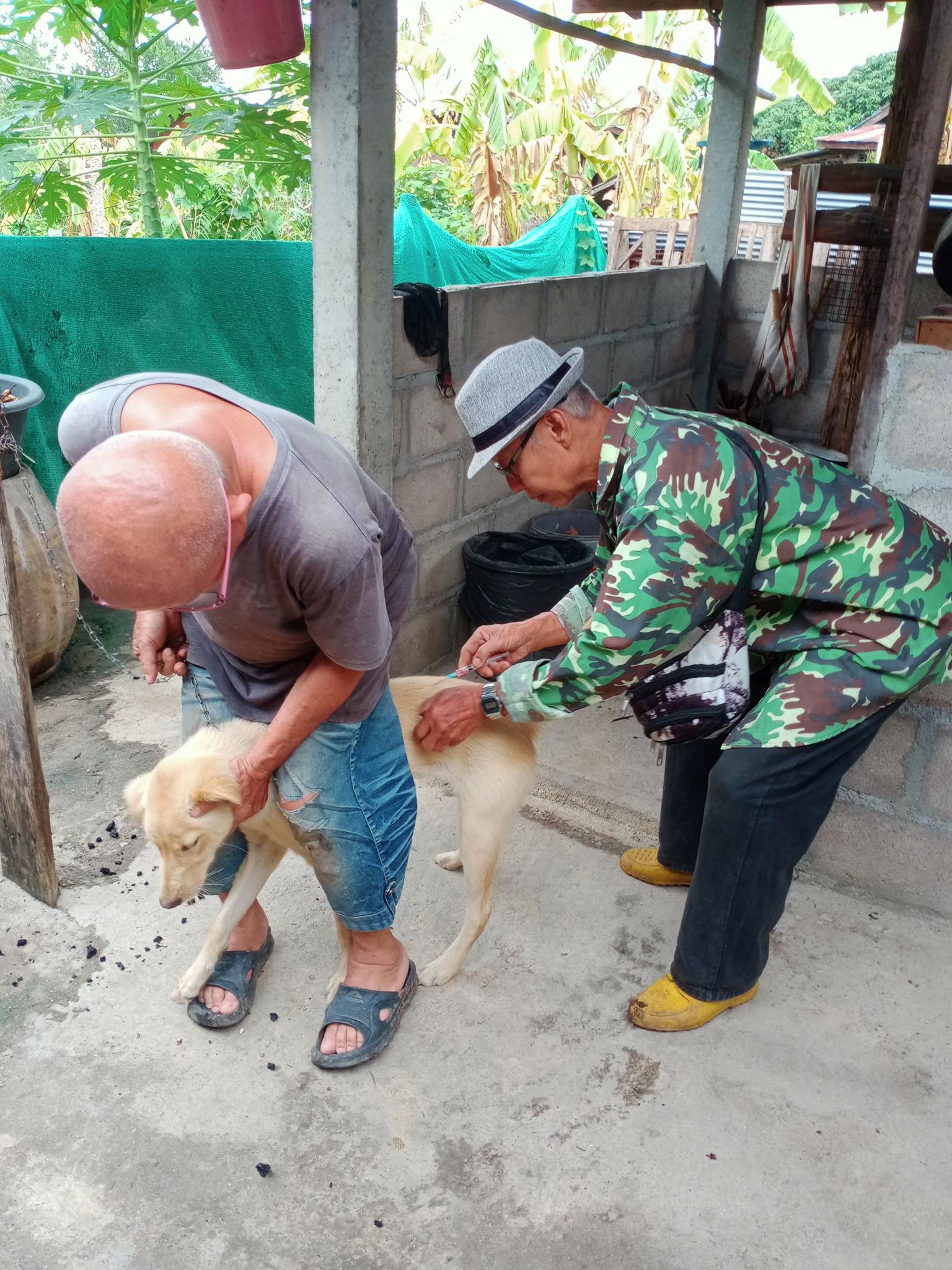 ภาพประกอบ: โครงการสัตว์ปลอดโรคคนปลอดภัยจากโรคพิษสุนัขบ้า ประจำปี 2567