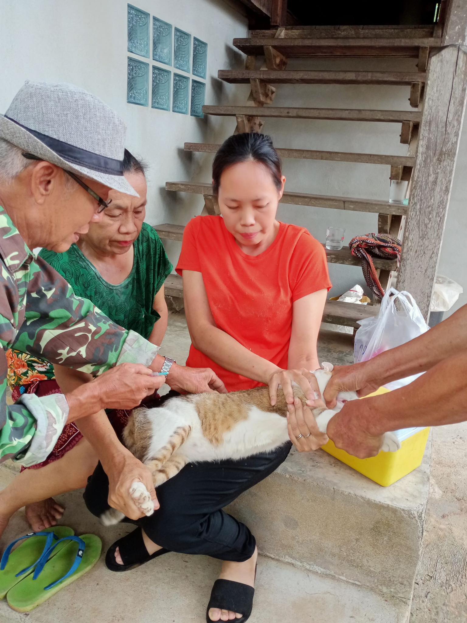 ภาพประกอบ: โครงการสัตว์ปลอดโรคคนปลอดภัยจากโรคพิษสุนัขบ้า ประจำปี 2567