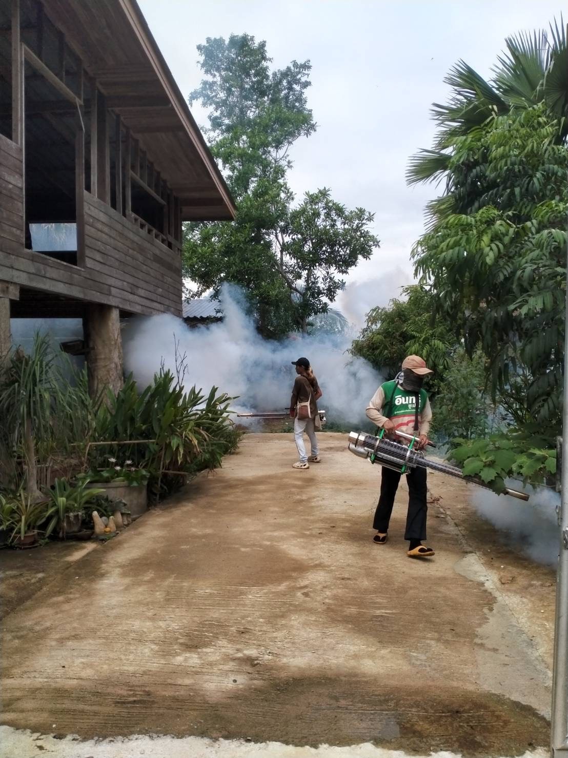 ภาพประกอบ: โครงการป้องกันการแพร่ระบาดของโรคที่มียุงเป็นพาหะนำเชื่อและ/หรือโรคติดต่อนำโดยแมลง