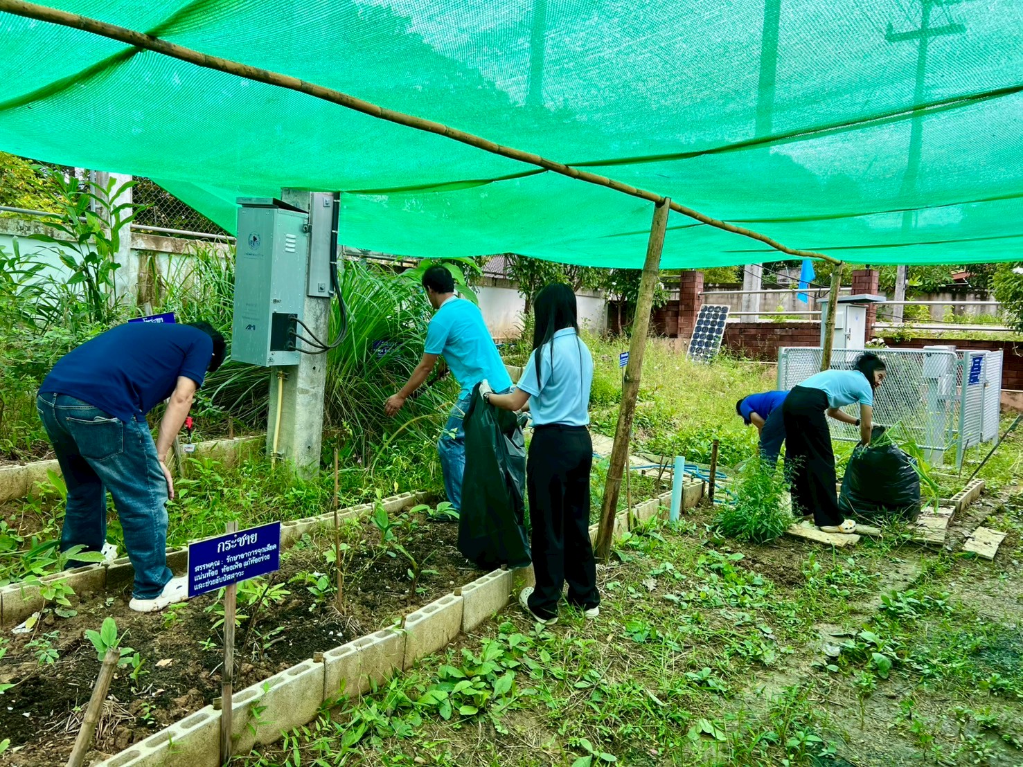 ภาพประกอบ: ฺฺBig Cleaning Day วันที่ 29 สิงหาคม 2568