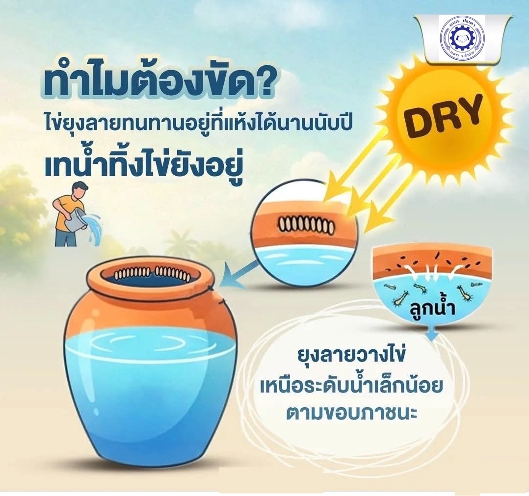 ภาพประกอบ: ข่าวประชาสัมพันธ์องค์การบริหารส่วนตำบลปงเเตาการป้องกันและเฝ้าระวังโรคไข้เลือดออกในช่วงฤดูฝน