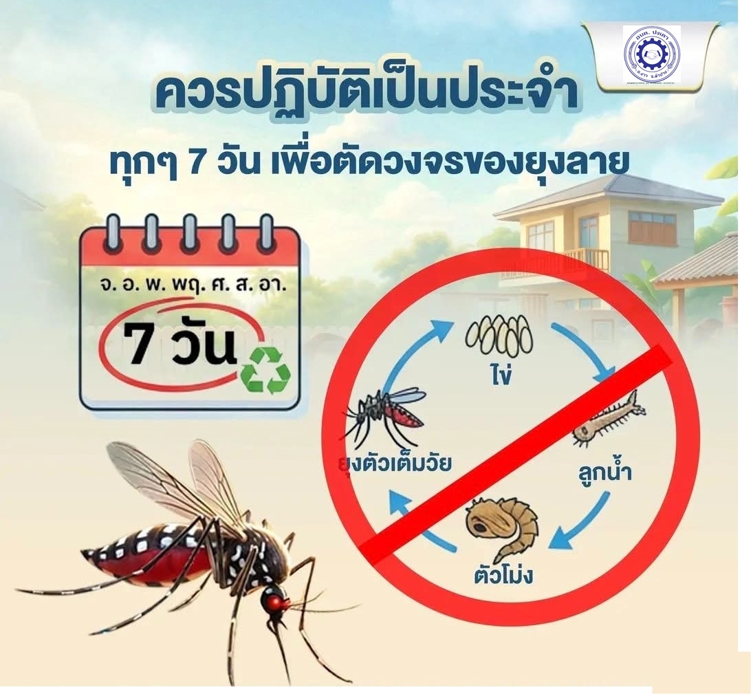 ภาพประกอบ: ข่าวประชาสัมพันธ์องค์การบริหารส่วนตำบลปงเเตาการป้องกันและเฝ้าระวังโรคไข้เลือดออกในช่วงฤดูฝน